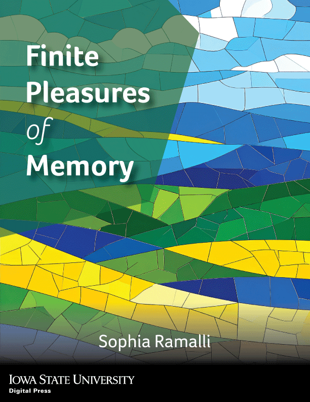 Finite Pleasures of Memory book cover
